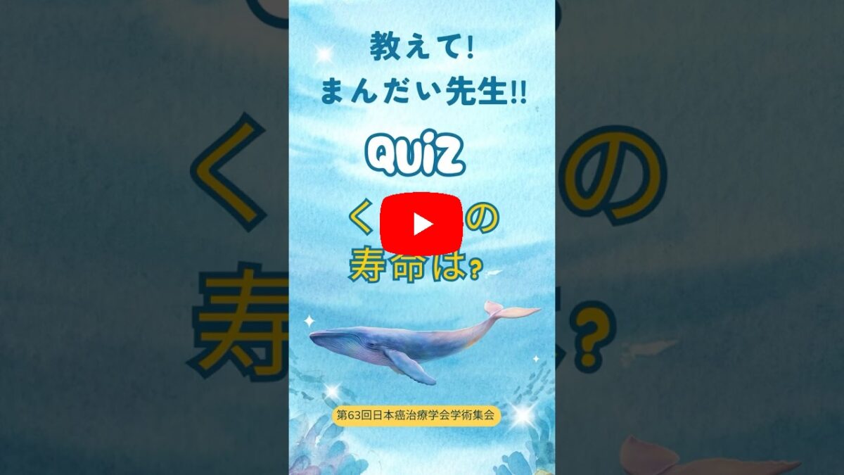 教えて！まんだい先生!!　クイズ くじらの寿命は？画像